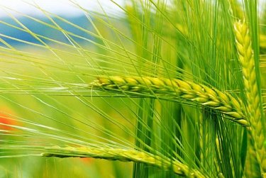 Создать комфортные условия для бизнеса